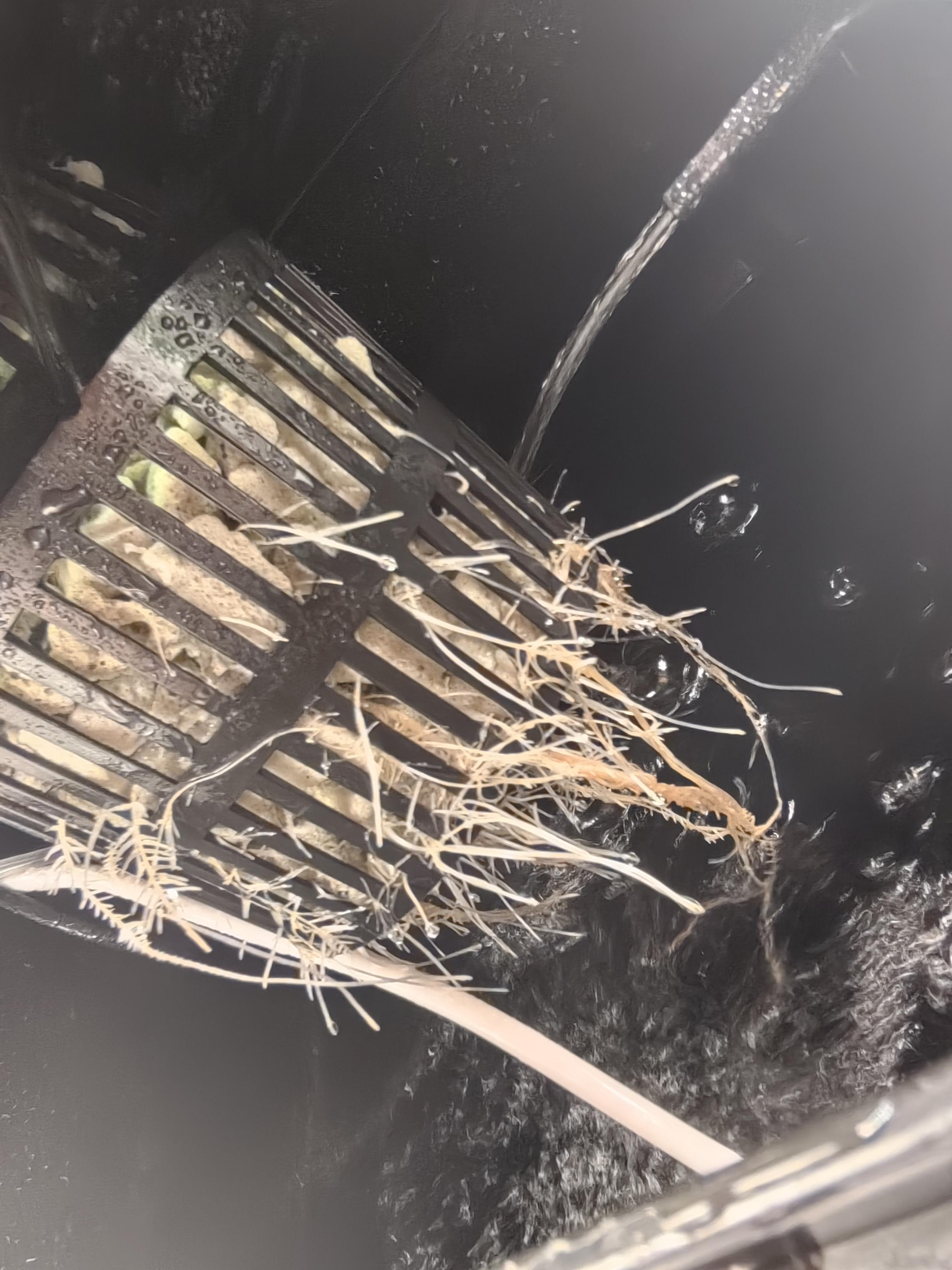 13 левая система1.jpg