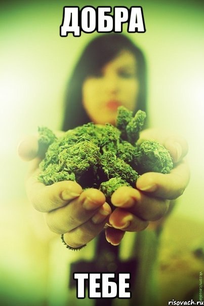 добро.jpg