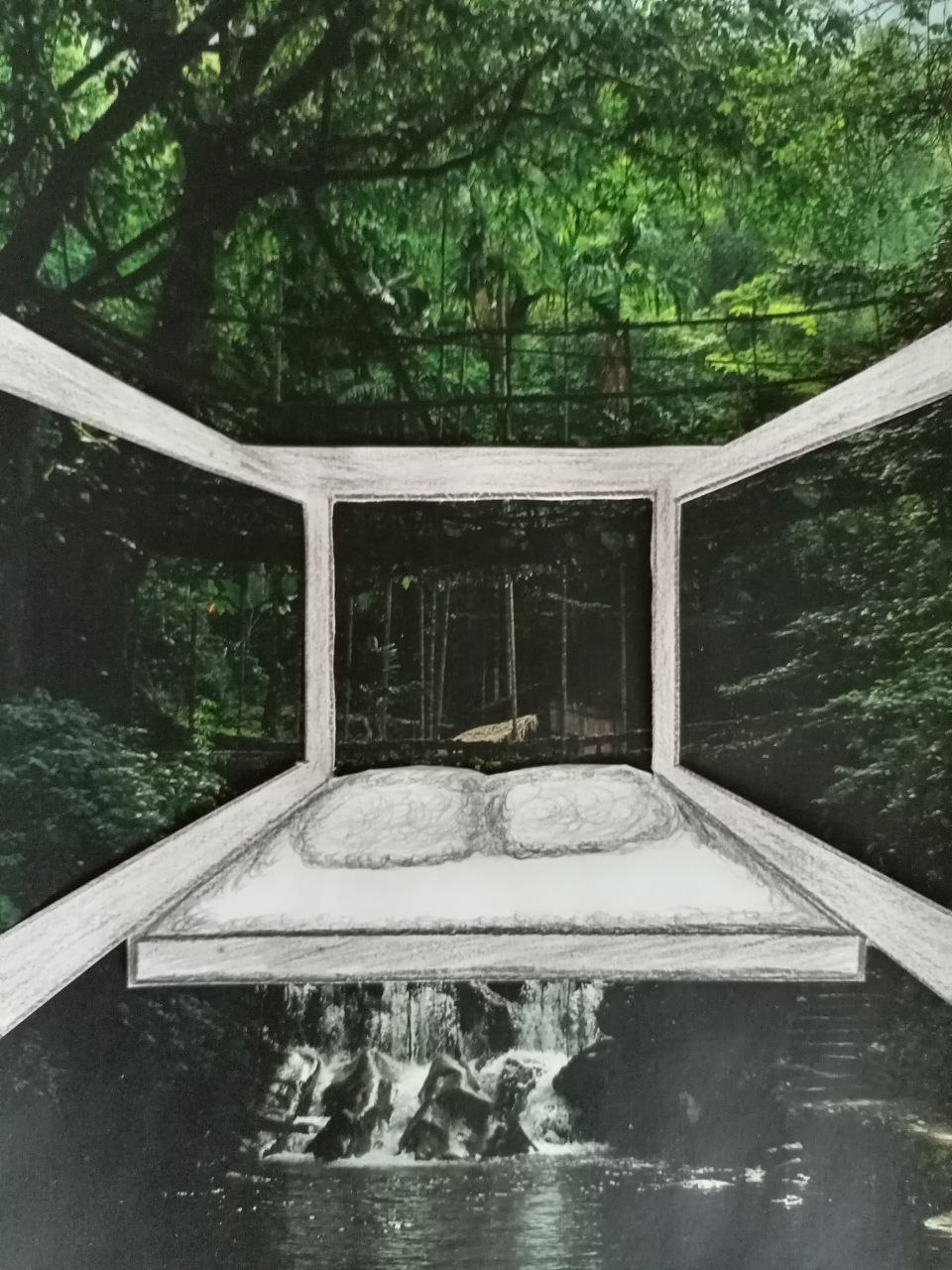 Кабинет 2 Джунгли.jpg