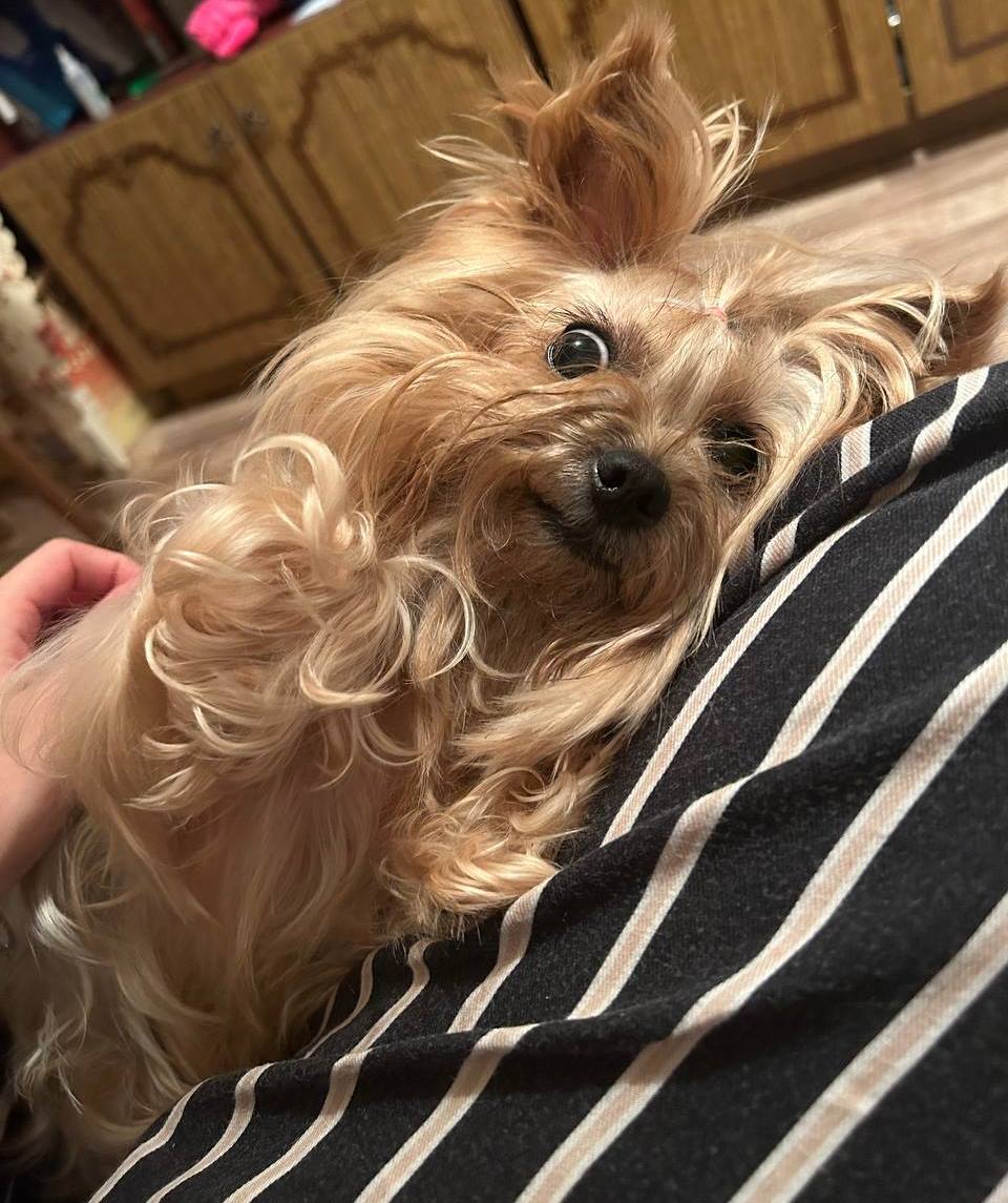 Не совсем на кухне, но так надо.JPG