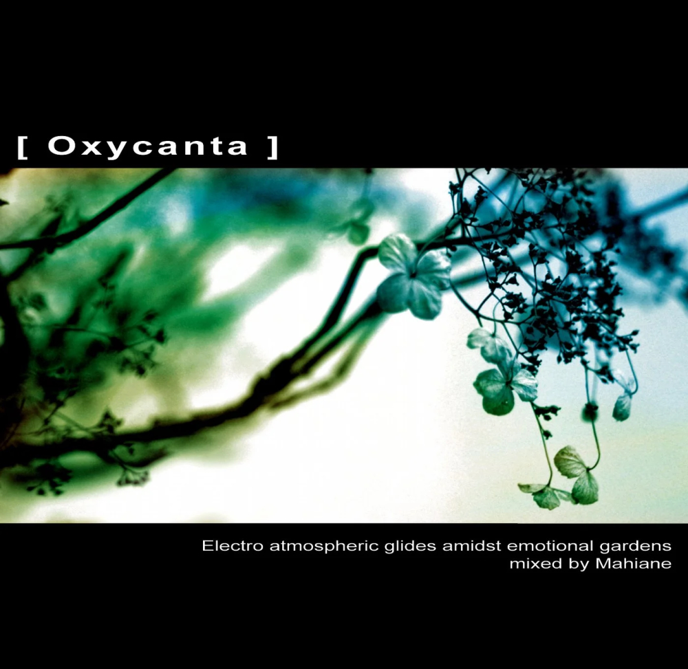 Oxycanta 1000x1000.jpg
