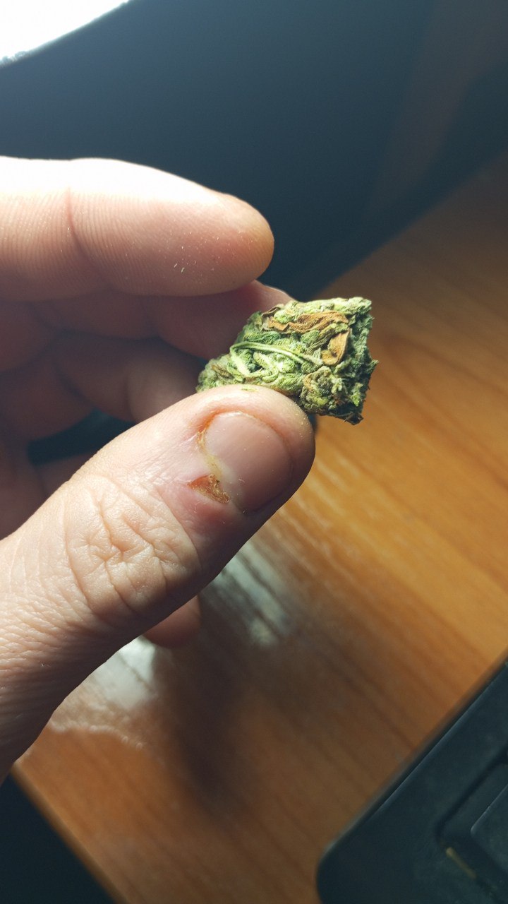 photo_2024-11-11_20-51-25 (2).jpg