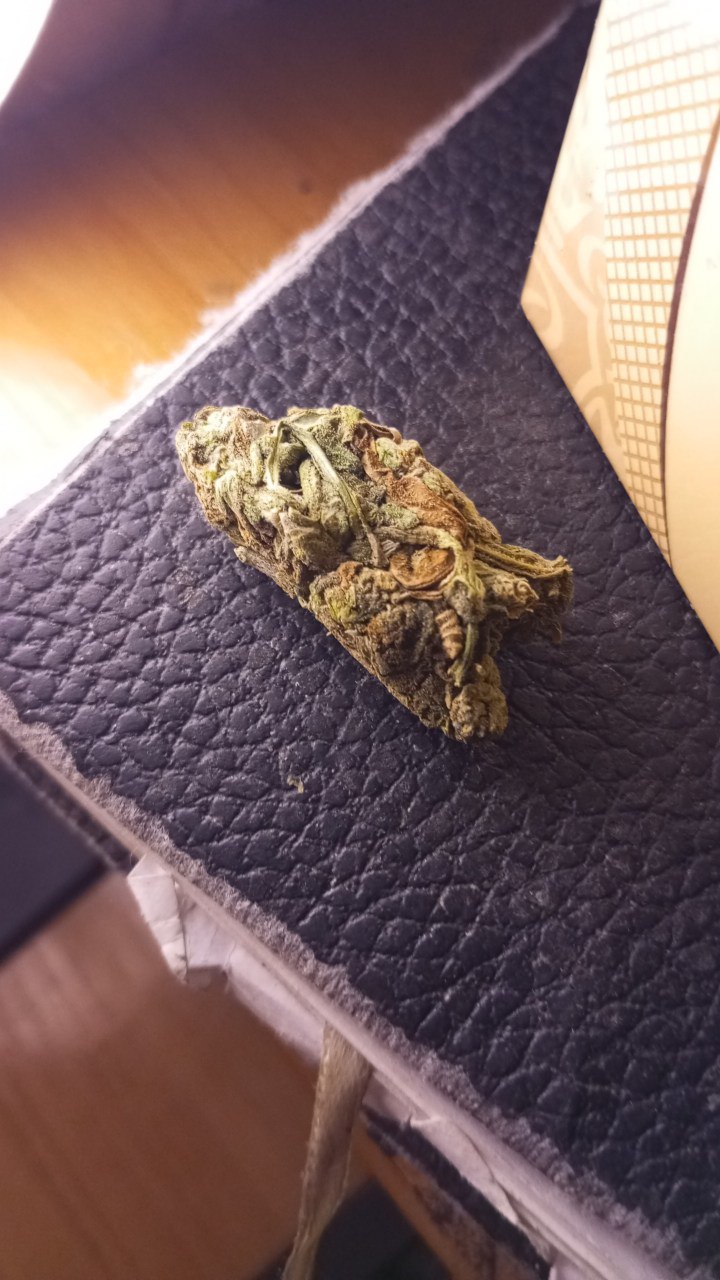 photo_2024-11-11_20-51-25 (3).jpg