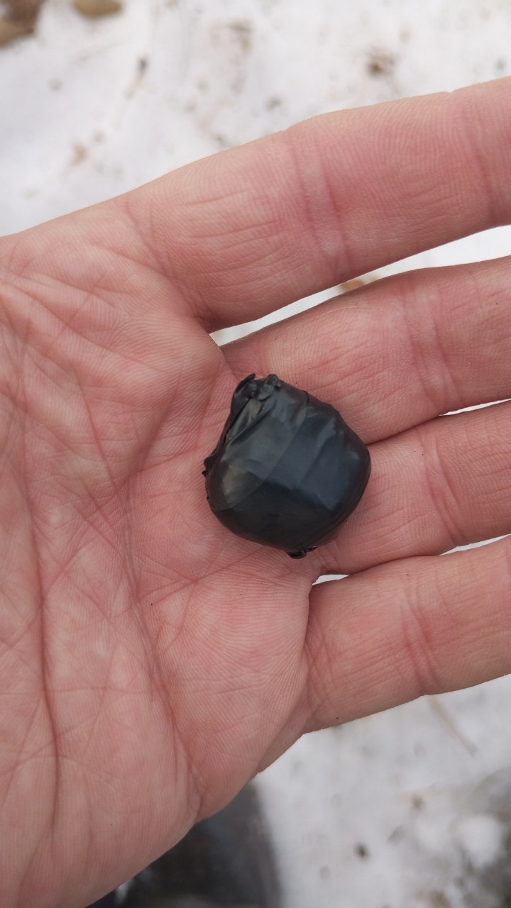 photo_2025-03-20_00-50-19 (2).jpg