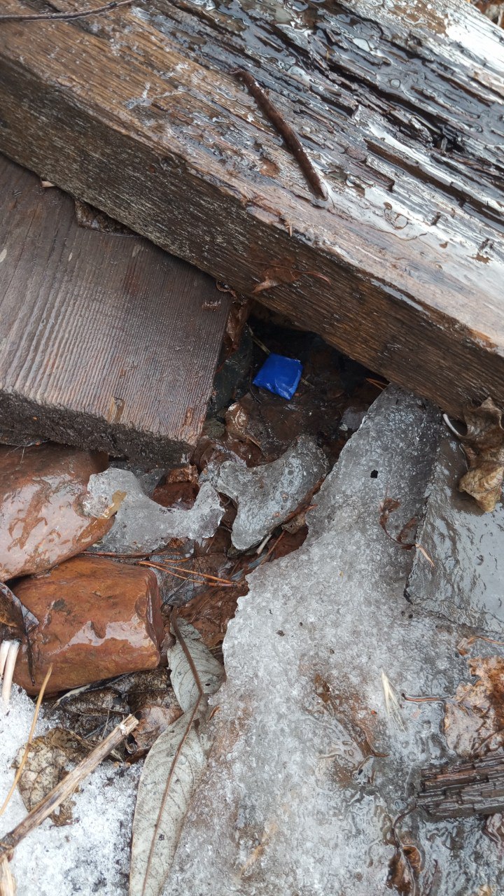 photo_2025-03-20_00-50-20 (3).jpg