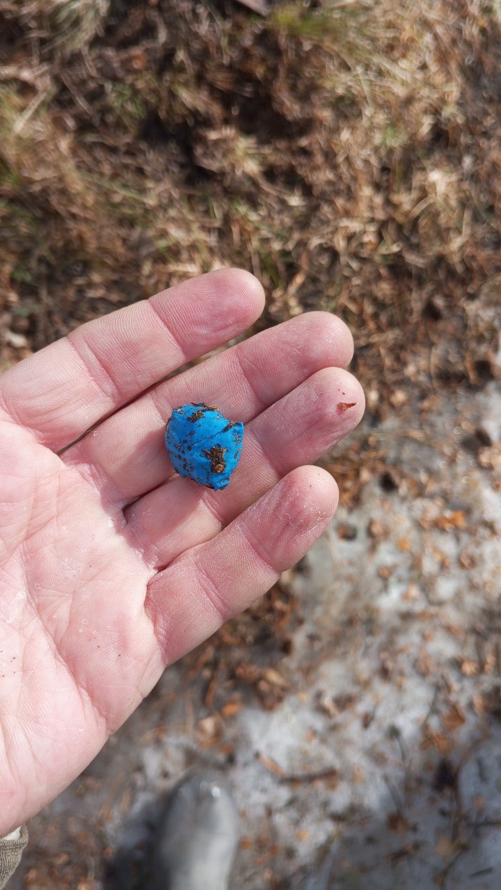 photo_2025-03-30_11-15-34 (2).jpg