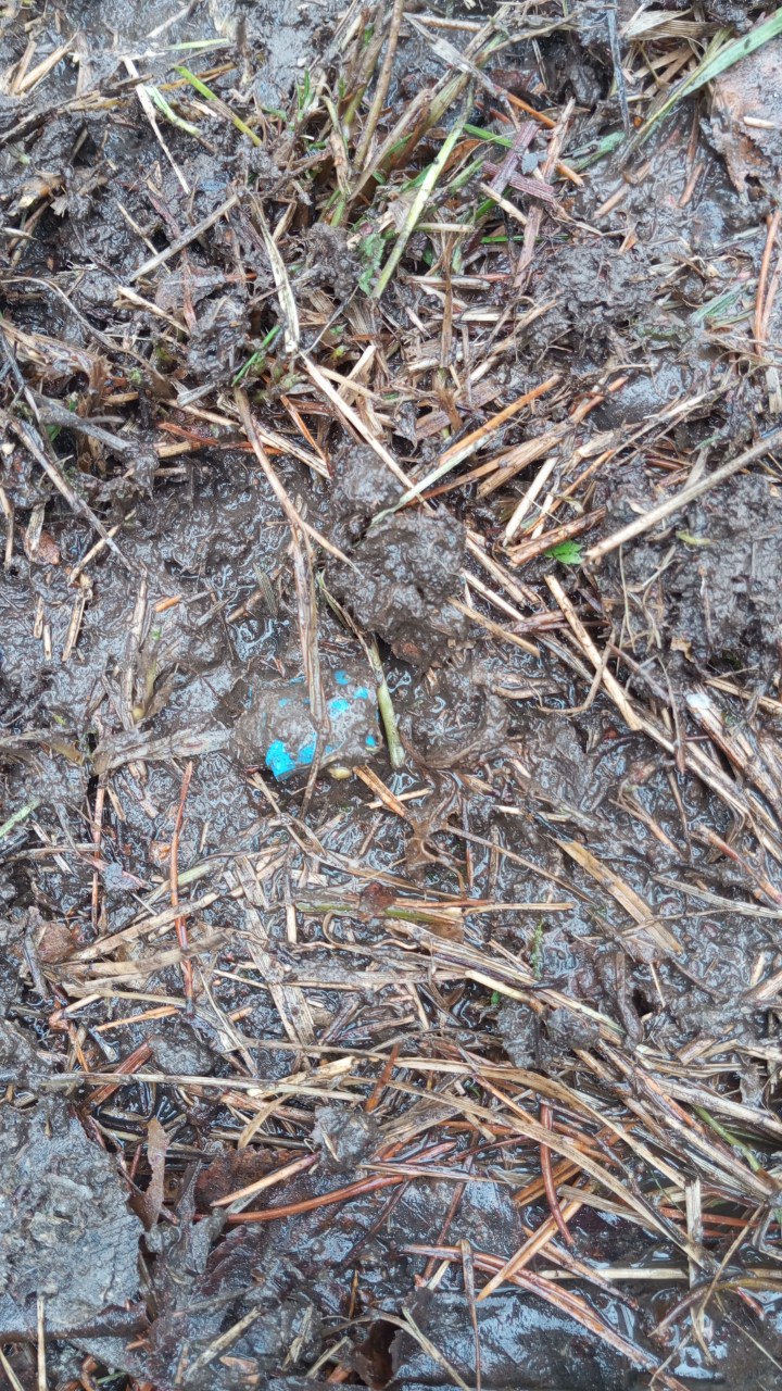 photo_2025-04-01_14-04-25 (2).jpg