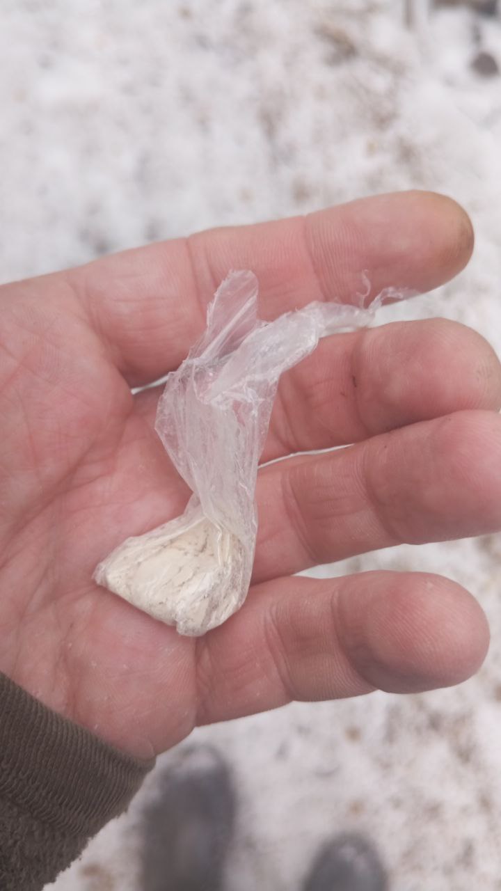 photo_2025-04-10_13-31-42 (5).jpg