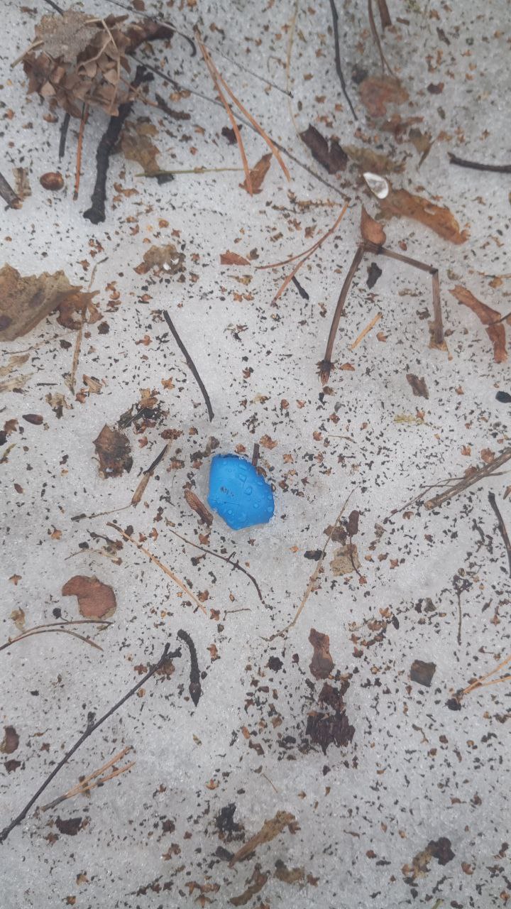 photo_2025-04-10_13-31-42 (6).jpg