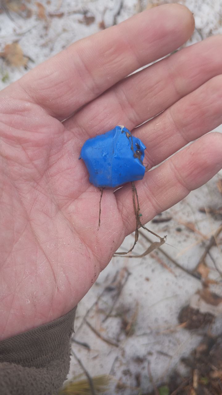 photo_2025-04-10_13-31-43 (5).jpg