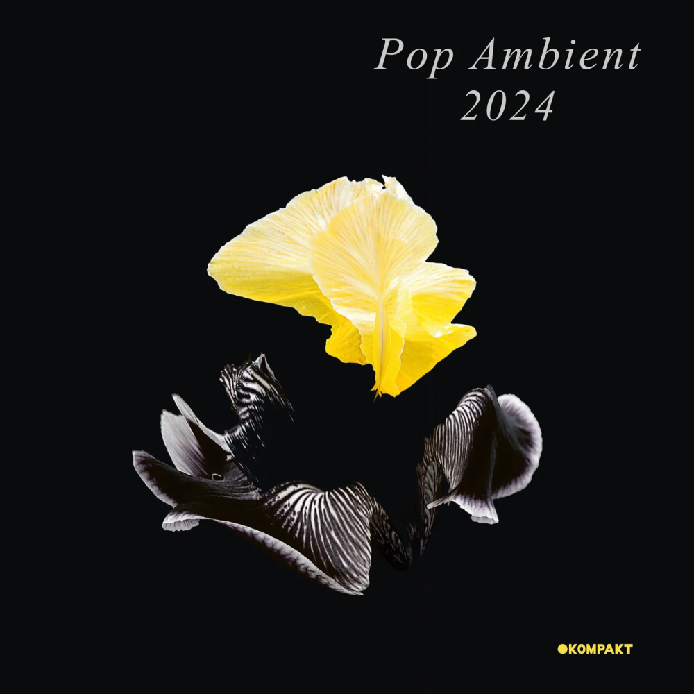 Pop Ambient 2024 1000x1000.jpg