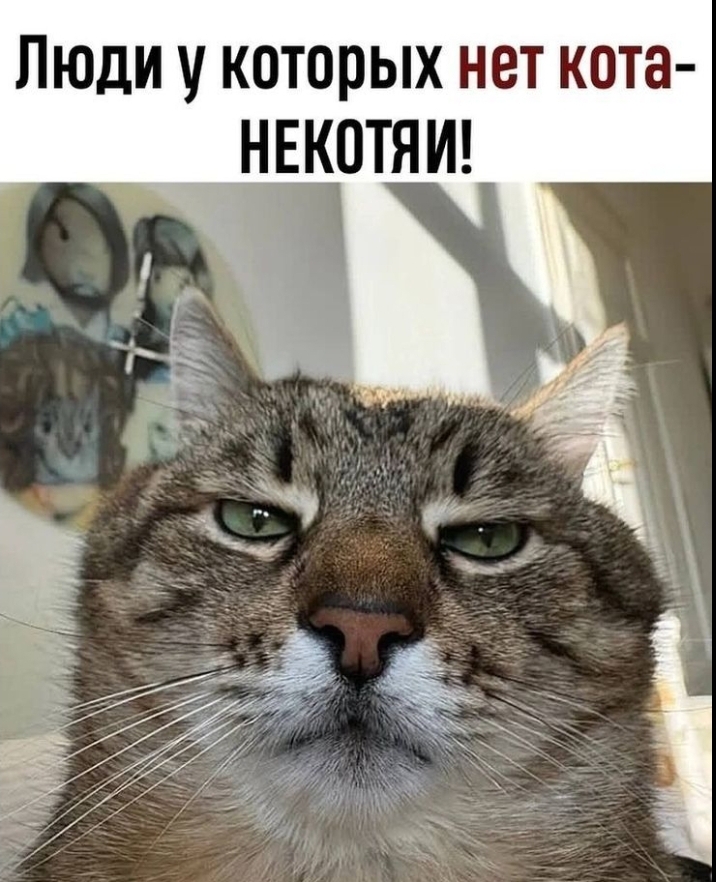 Screenshot_20260131_201225_ .jpg