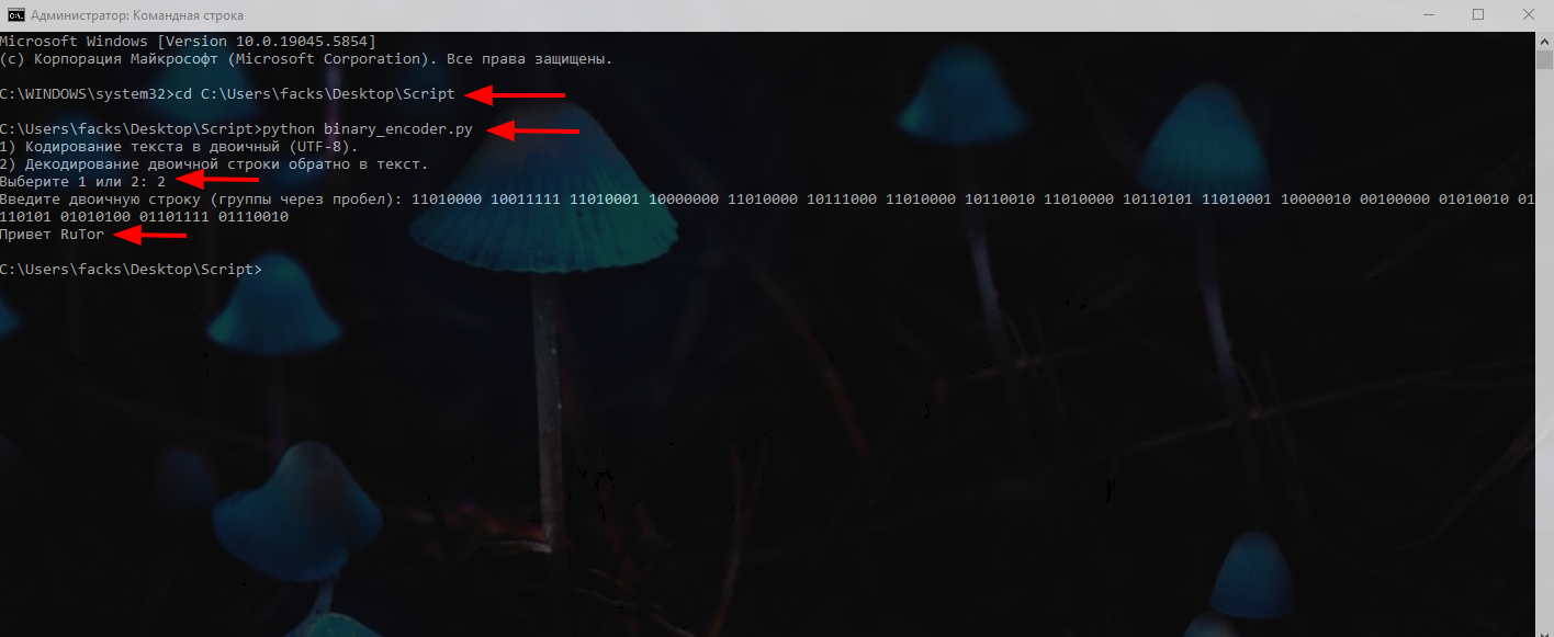 Sleekshot 2025-05-26 14-36-31.png