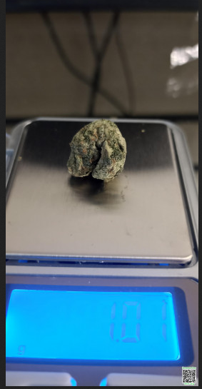 Снимок экрана_2026-01-09_19-55-55.png