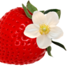 Strаwberry